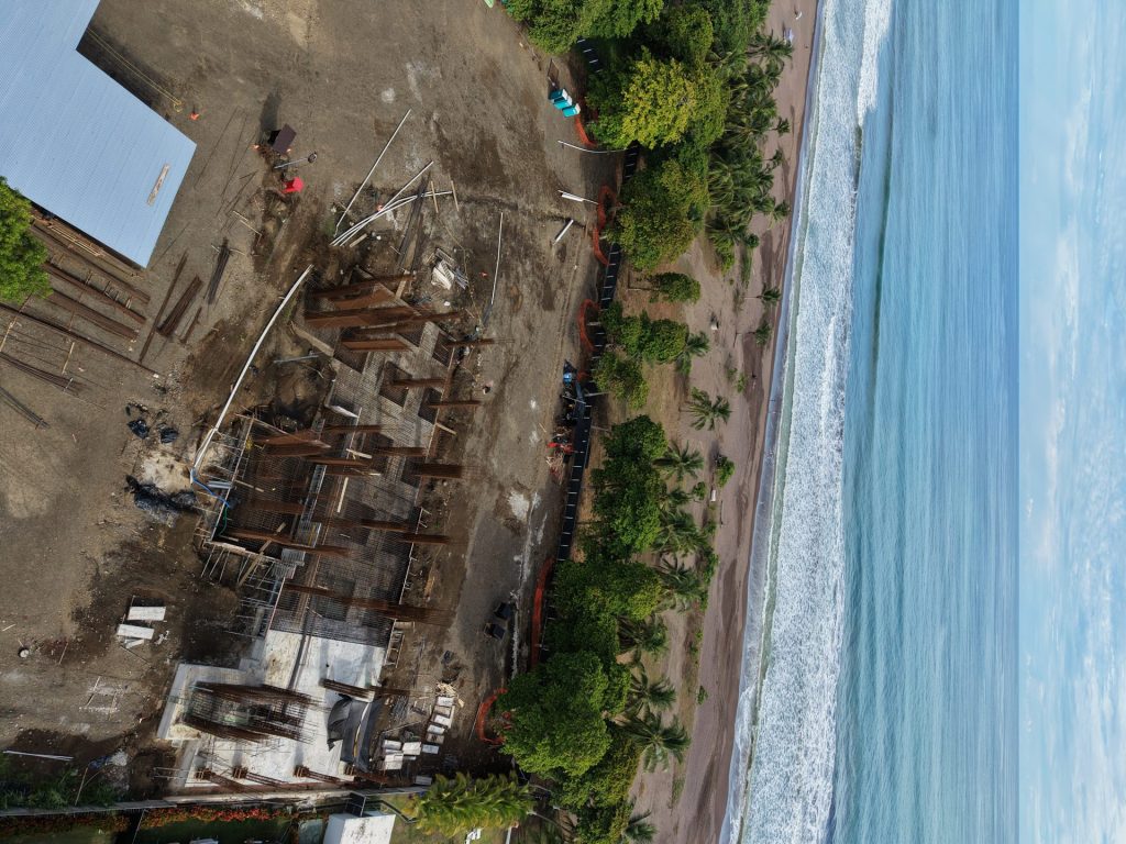 Solea — imagen 1