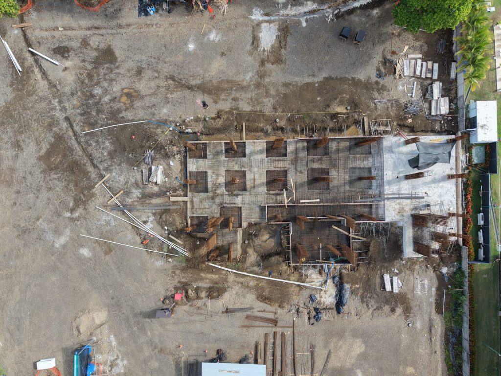 Solea — imagen 2