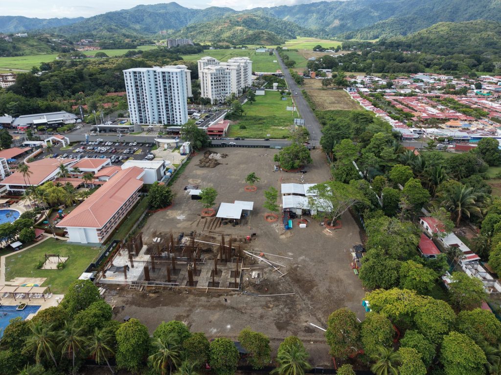 Solea — imagen 3